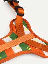 Full Coverage Dog Harness - Festive Stripe Sparkle